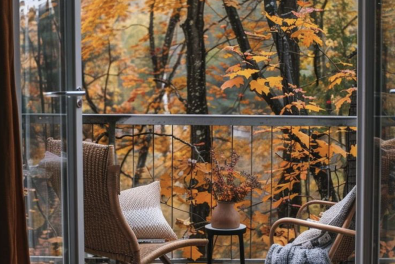 embrace life reset in fall